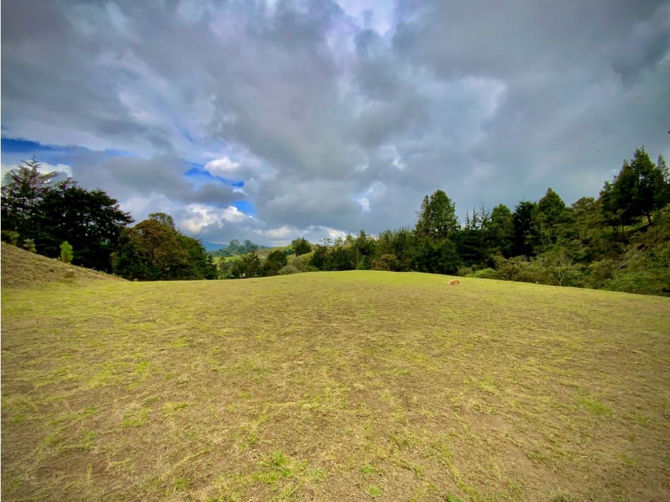 Venta Lote plano con bosque y quebrada Semiparcelación El Retiro