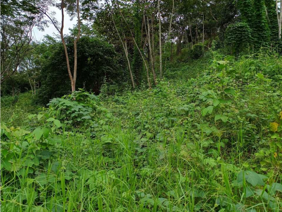 VENTA LOTE SUROESTE ANTIOQUEÑO U C - 2