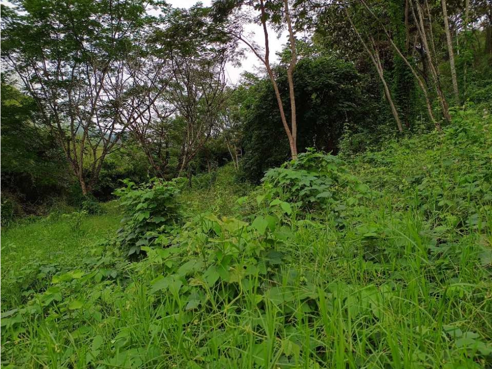 VENTA LOTE SUROESTE ANTIOQUEÑO U C - 3