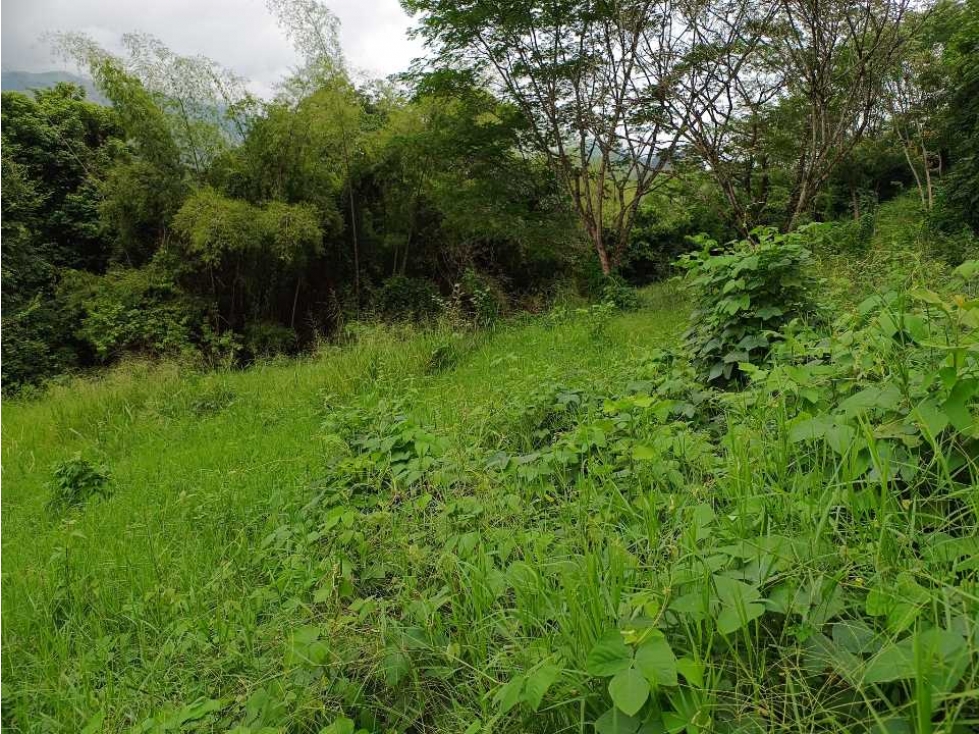 VENTA LOTE SUROESTE ANTIOQUEÑO U C - 4