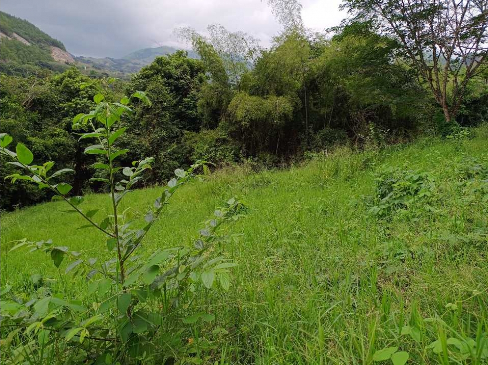 VENTA LOTE SUROESTE ANTIOQUEÑO U C - 6