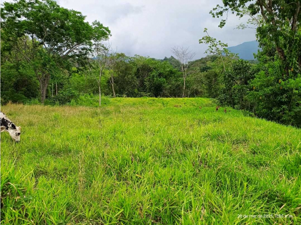 VENTA LOTE SIRIA SUROESTE ANTIOQUEÑO - 4