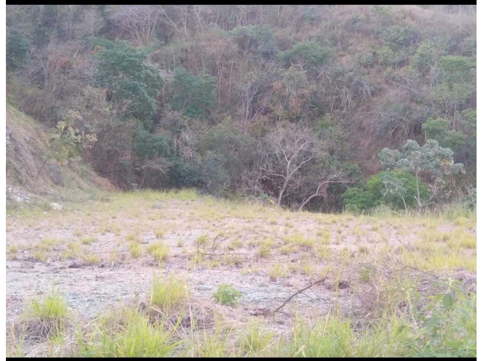 Venta lote Sta de Antioquia- Tonusco 2-Occidente - 6