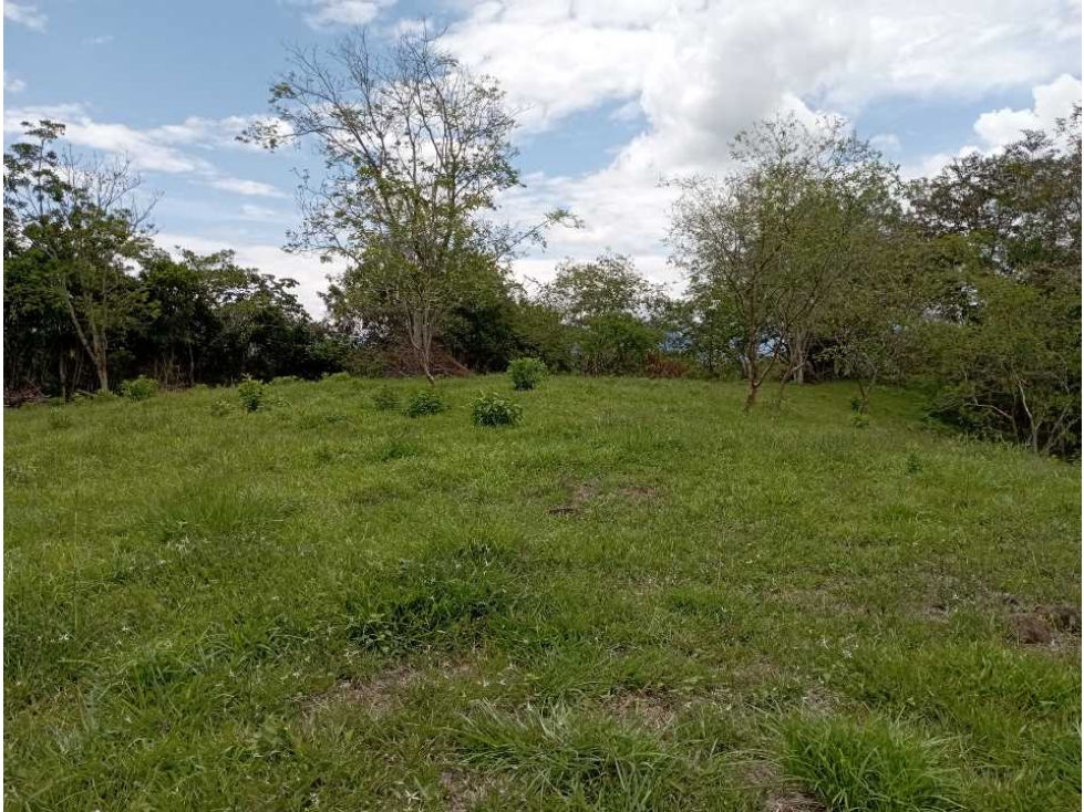 VENTA LOTE TAMESIS, SUROESTE ANTIOQUEÑO - 1