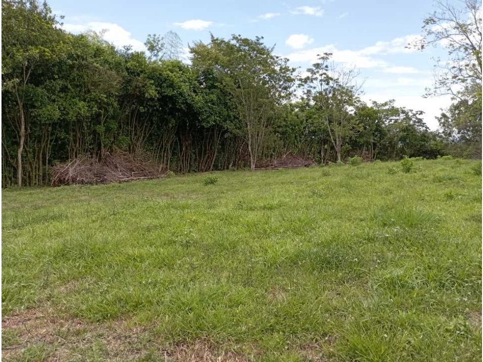 VENTA LOTE TAMESIS, SUROESTE ANTIOQUEÑO - 2