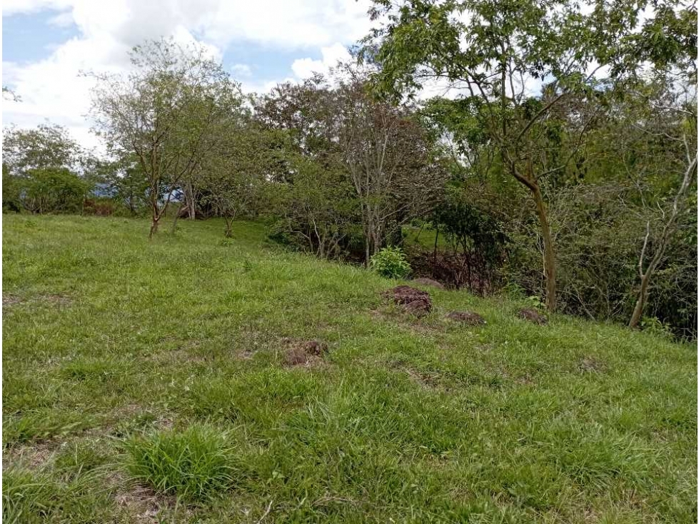 VENTA LOTE TAMESIS, SUROESTE ANTIOQUEÑO - 3