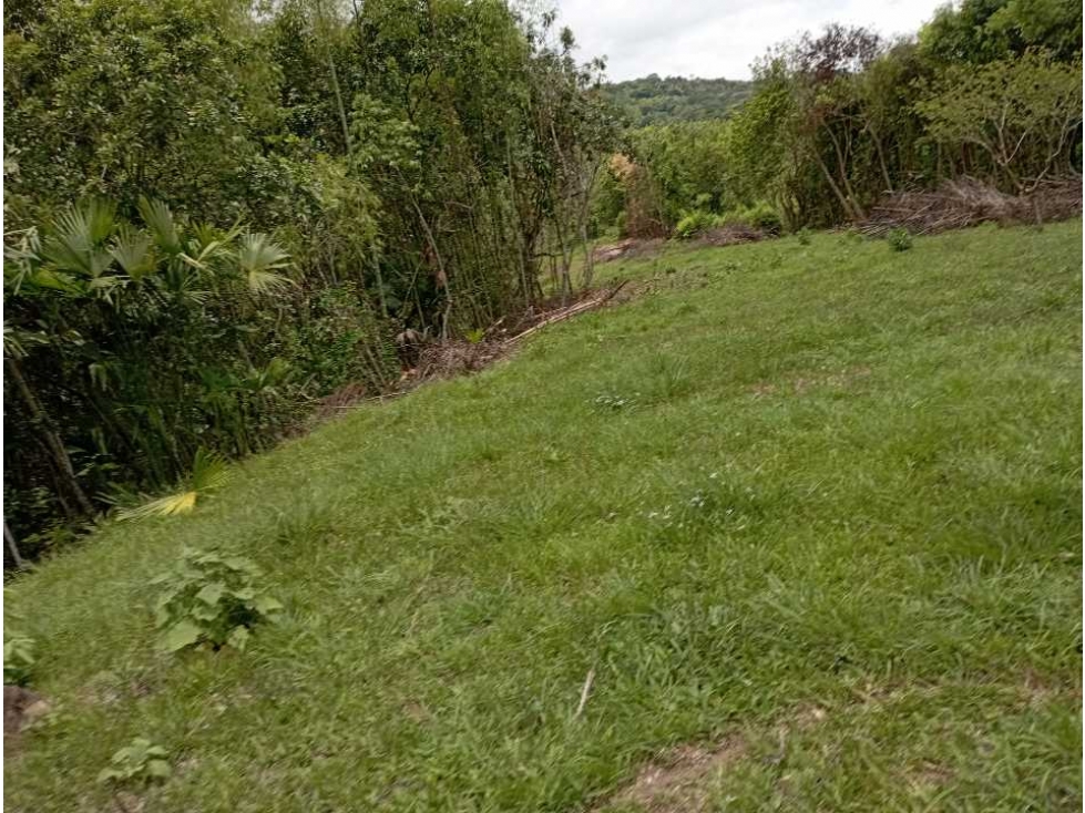 VENTA LOTE TAMESIS, SUROESTE ANTIOQUEÑO - 4