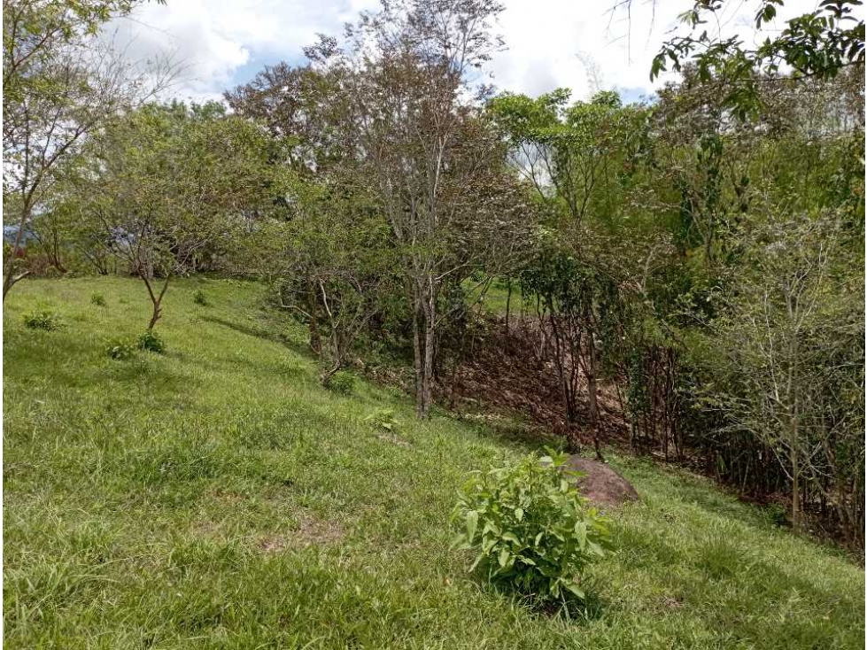VENTA LOTE TAMESIS, SUROESTE ANTIOQUEÑO - 5