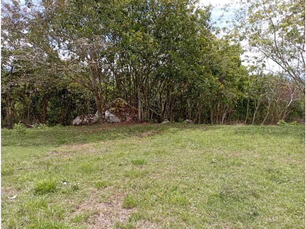 VENTA LOTE TAMESIS, SUROESTE ANTIOQUEÑO - 6