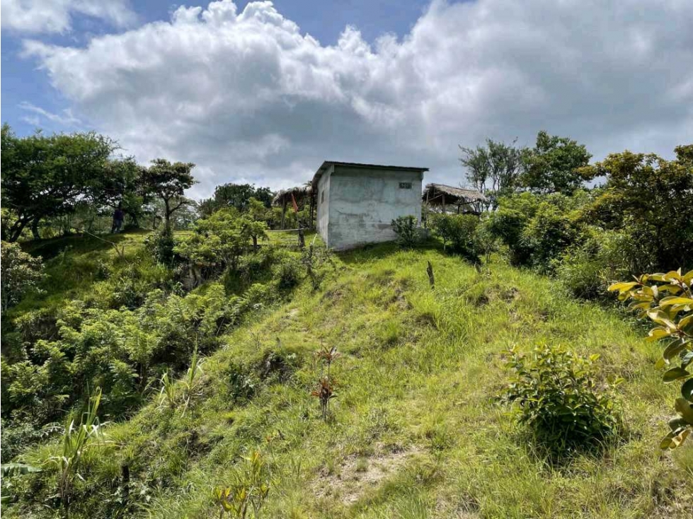VENTA LOTE TITULADO 1.4 HECTÁREAS EN PENONOMÉ, ANTÓN - 1