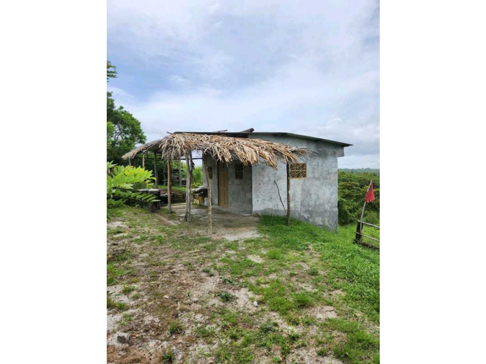 VENTA LOTE TITULADO 1.4 HECTÁREAS EN PENONOMÉ, ANTÓN - 2