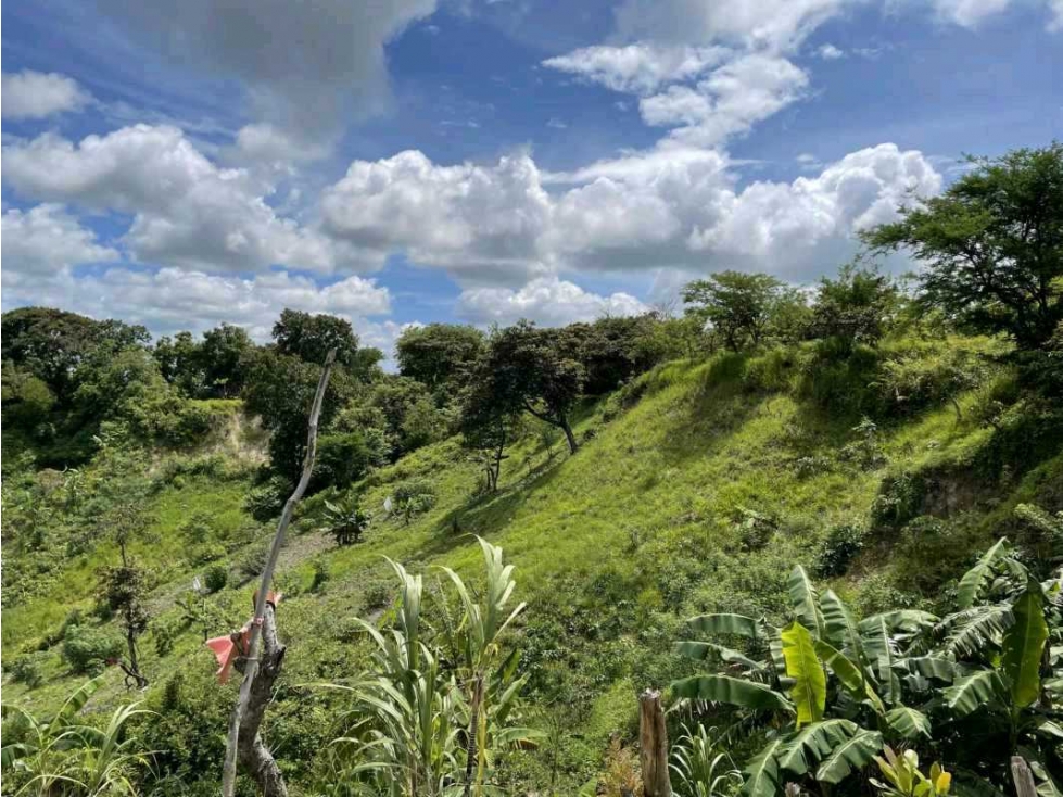VENTA LOTE TITULADO 1.4 HECTÁREAS EN PENONOMÉ, ANTÓN - 4