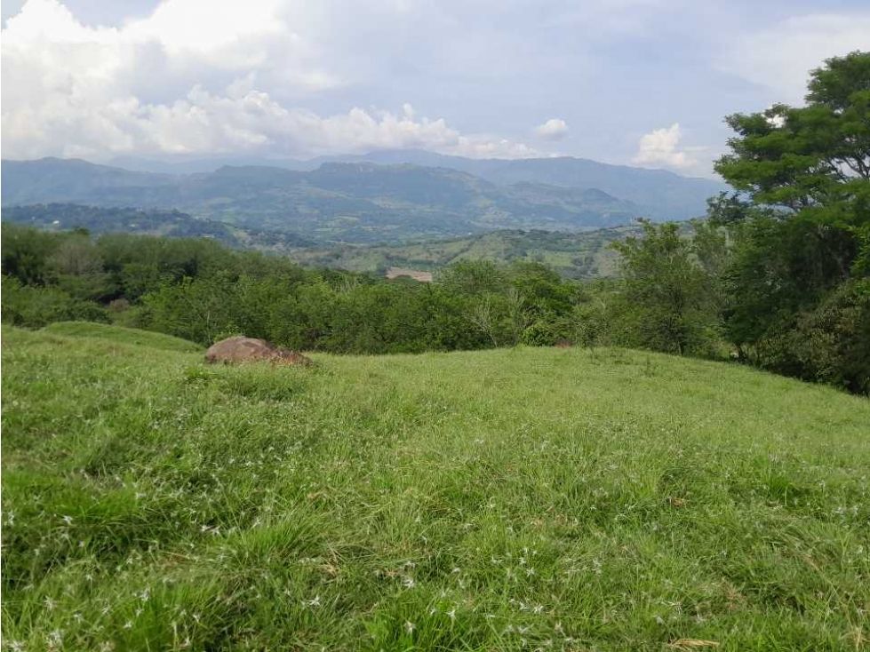 VENTA LOTE TÁMESIS, SUROESTE ANTIOQUEÑO UNIDAD CERRADA - 3