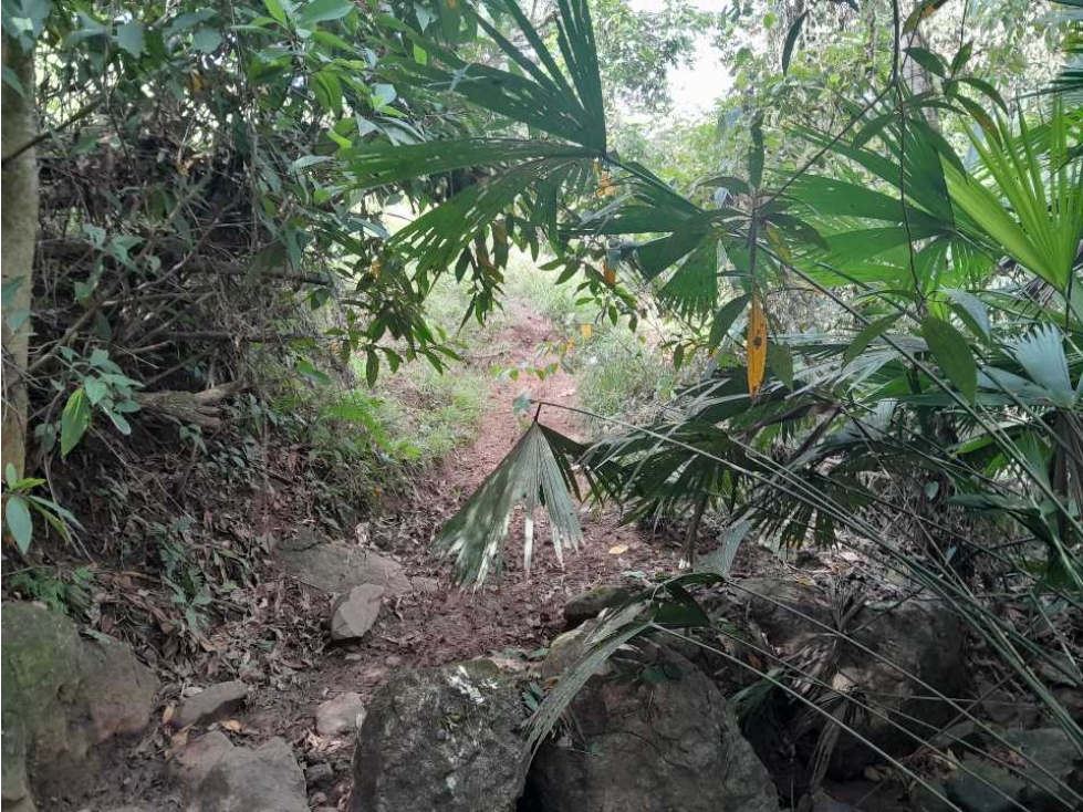 VENTA LOTE TÁMESIS, SUROESTE ANTIOQUEÑO UNIDAD CERRADA - 4