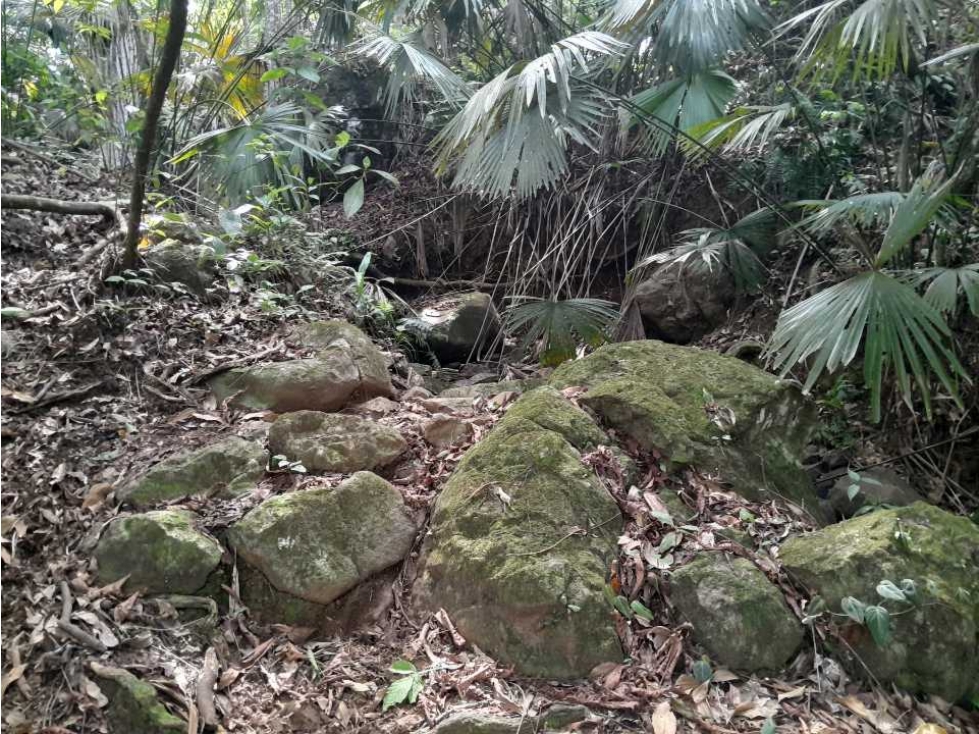 VENTA LOTE TÁMESIS, SUROESTE ANTIOQUEÑO UNIDAD CERRADA - 5