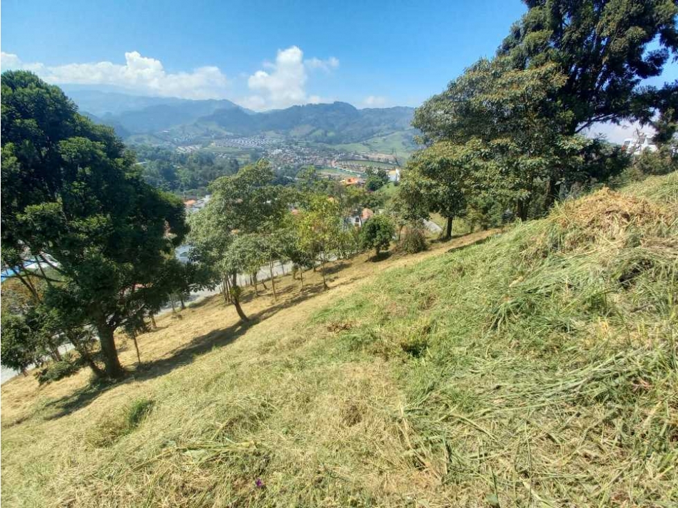 Venta Lote Trebol Manizales — foto 4