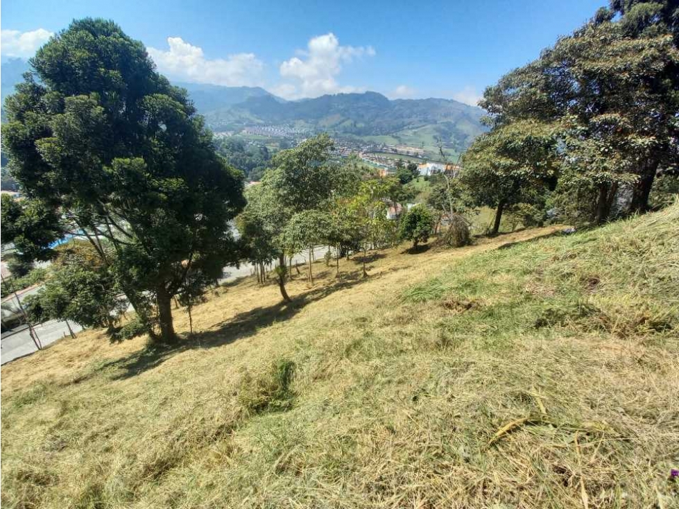 Venta Lote Trebol Manizales — foto 6