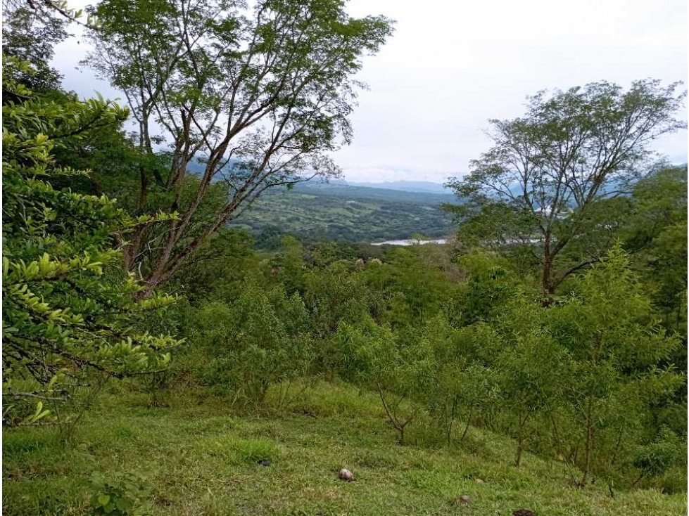 VENTA LOTE U/C LA PINTADA , SUROESTE ANTIOQUEÑO — foto 2