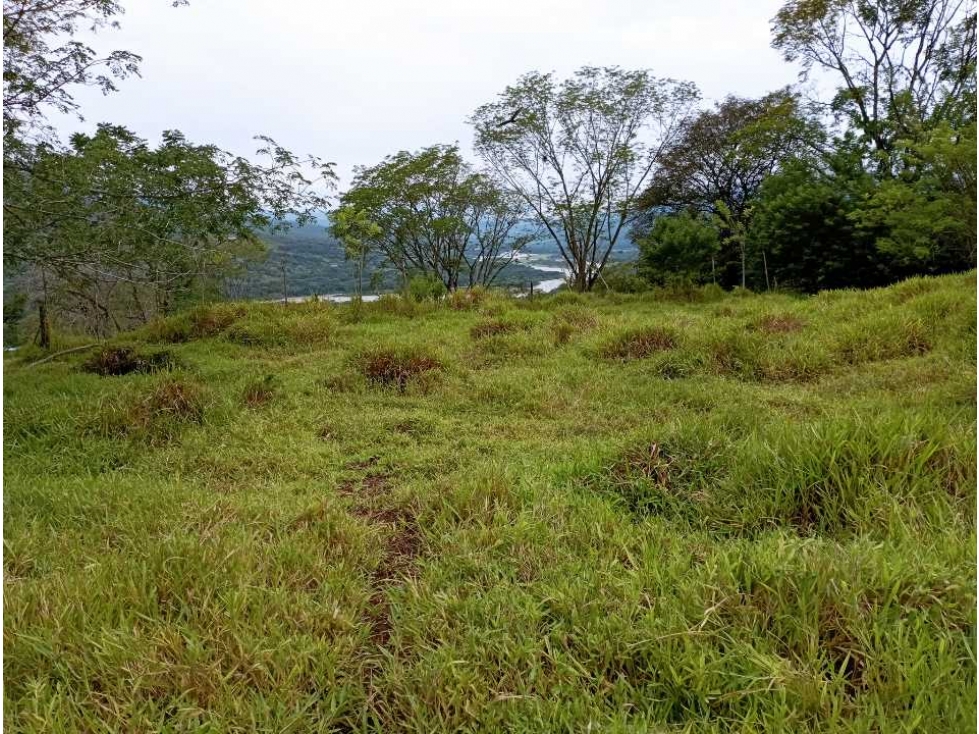 VENTA LOTE U/C LA PINTADA , SUROESTE ANTIOQUEÑO — foto 3