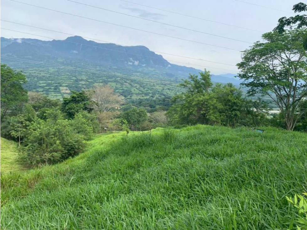 VENTA LOTE U/C LA PINTADA , SUROESTE ANTIOQUEÑO