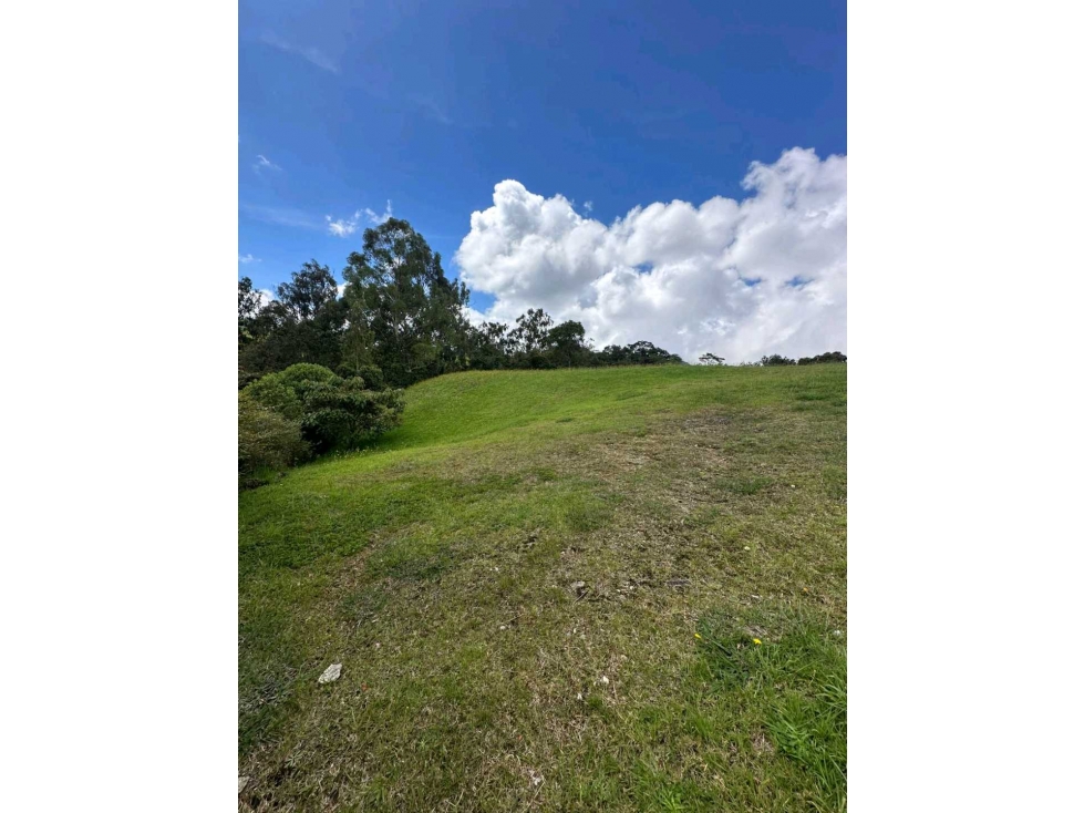 Venta lote unidad cerrada Alto de Palmas