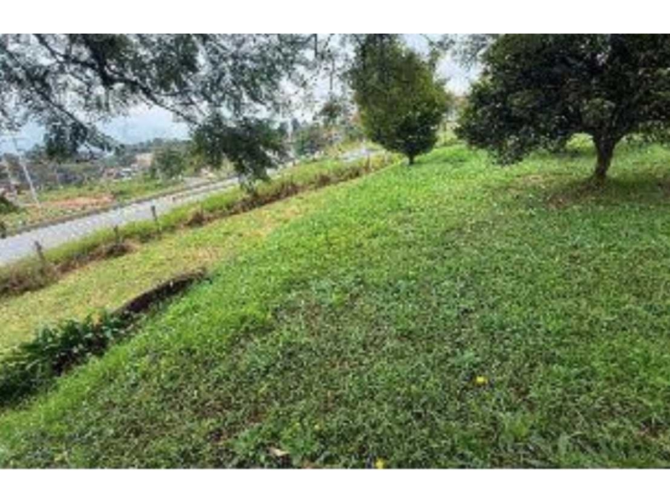 Venta Lote USO MULTIPLE Rionegro Autopista Medellin Bogotá por Pintuco — foto 4