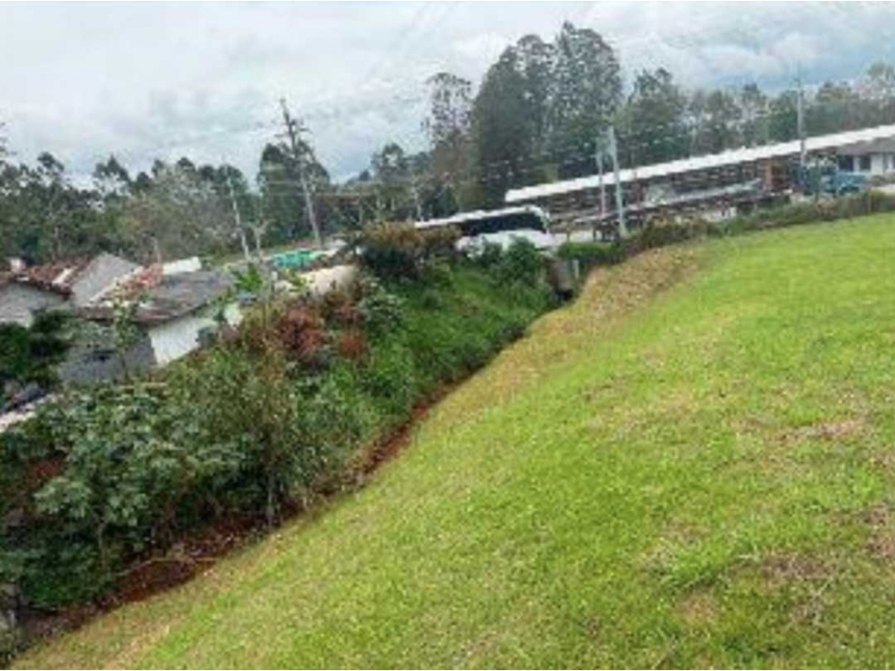 Venta Lote USO MULTIPLE Rionegro Autopista Medellin Bogotá por Pintuco — foto 6
