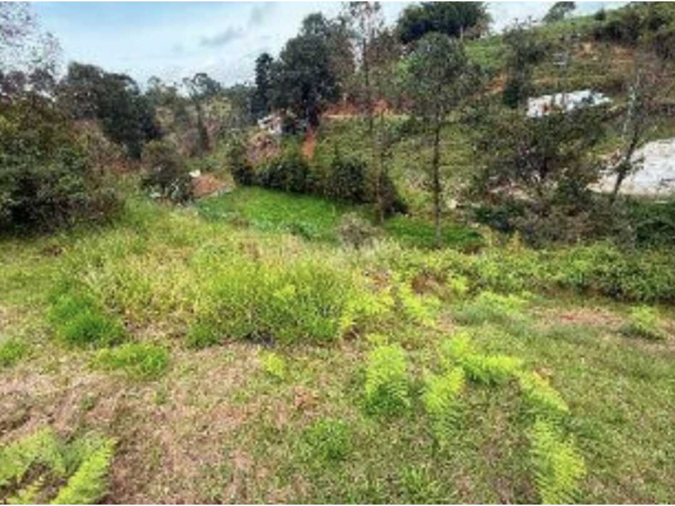 Venta Lote USO MULTIPLE Rionegro Autopista Medellin Bogotá por Pintuco — foto 5