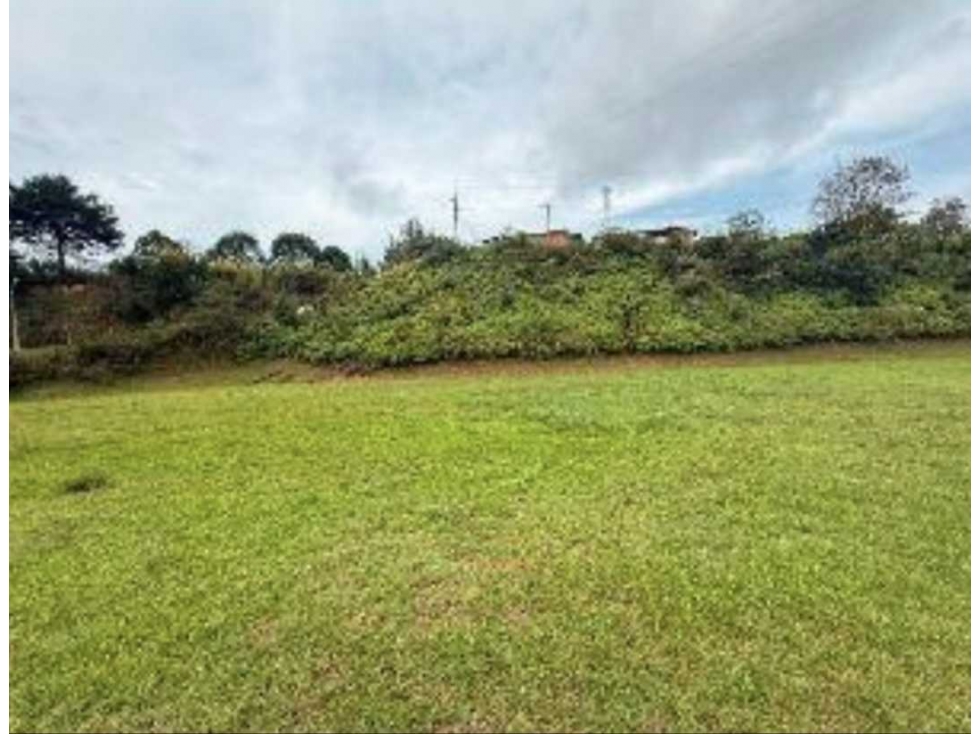 Venta Lote USO MULTIPLE Rionegro Autopista Medellin Bogotá por Pintuco — foto 3