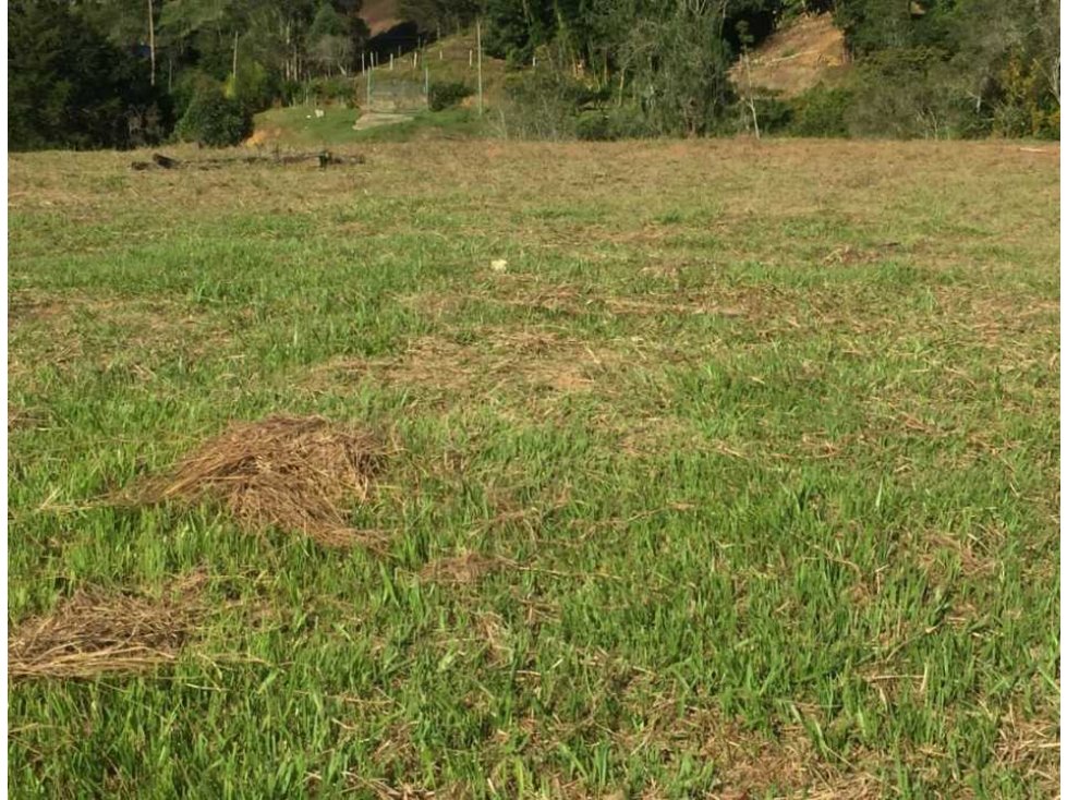 Venta lote, Vereda San Matías, La Quebrada, El Santuario, Antioquia. — foto 2