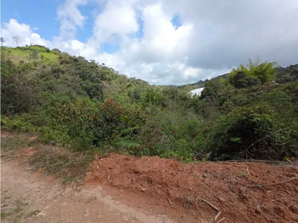 Venta lote, Vereda San Matías, La Quebrada, El Santuario, Antioquia. — foto 5