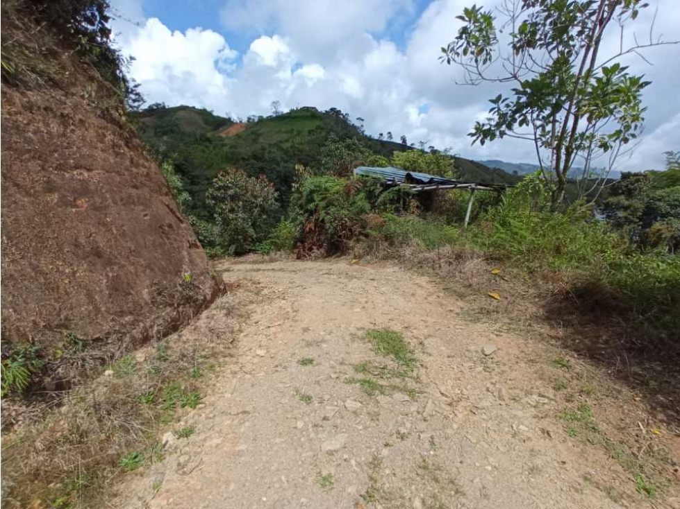 Venta lote, Vereda San Martín, La Quebrada, El Santuario, Antioquia
