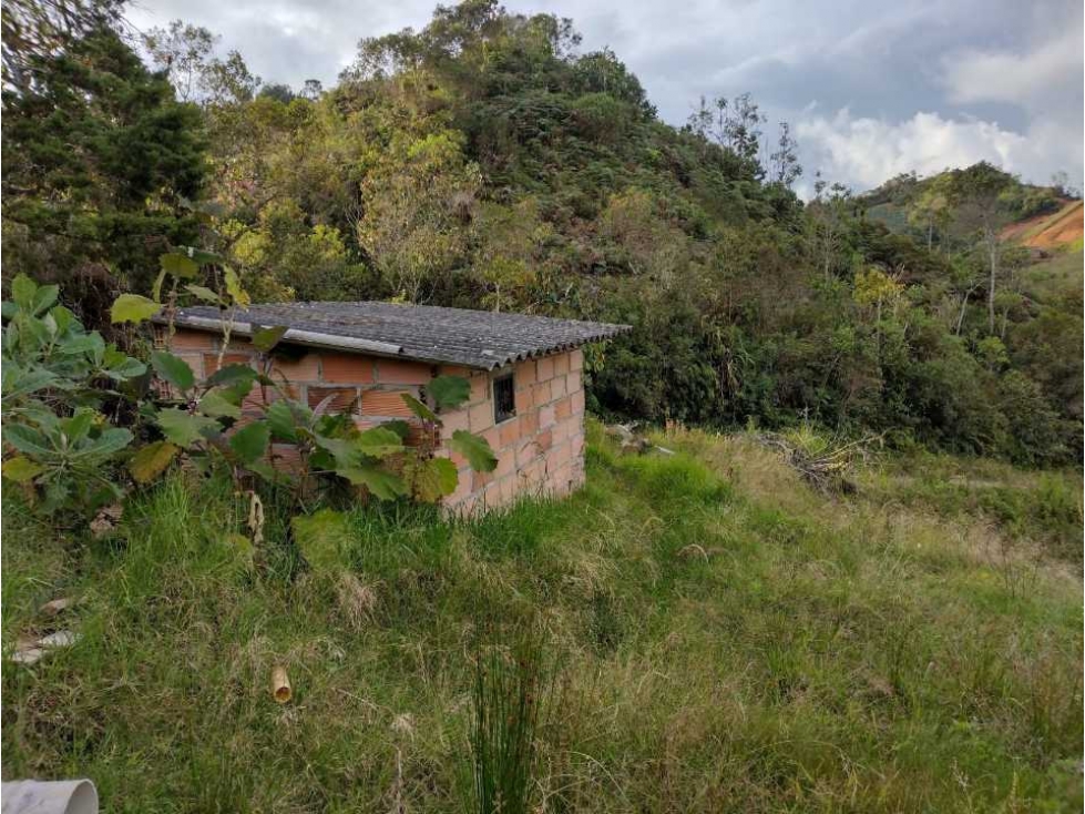Venta lote, Vereda San Martín, La Quebrada, El Santuario, Antioquia — foto 3