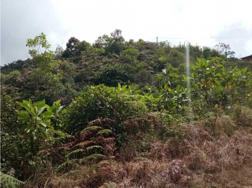 Venta lote, Vereda San Martín, La Quebrada, El Santuario, Antioquia — foto 4