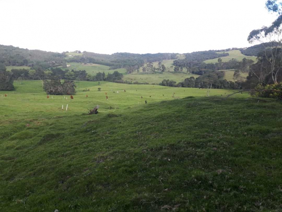 Venta Lote Alto de Palmas Parcelacion