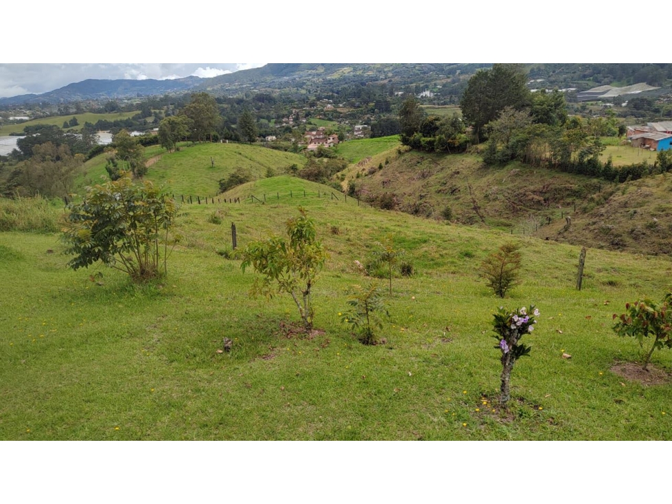 Venta Lote Casa Zona Alta Valorización Buen Area y Vistas Capiro — foto 6