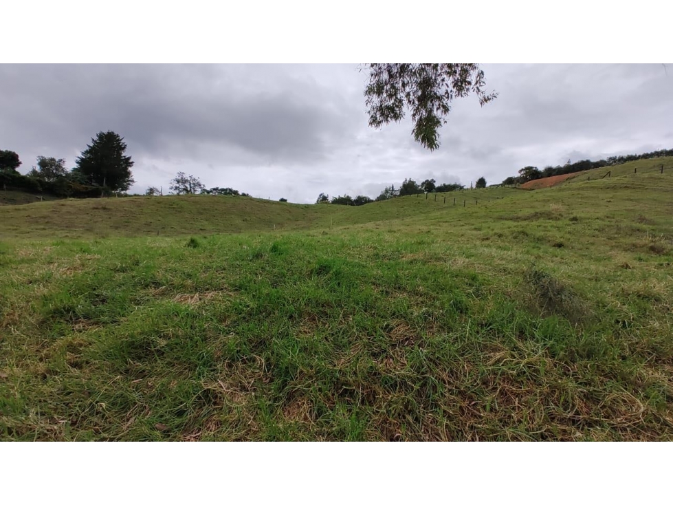 Venta Lote Zona Alta Valorización Buen Area y Vistas Capiro