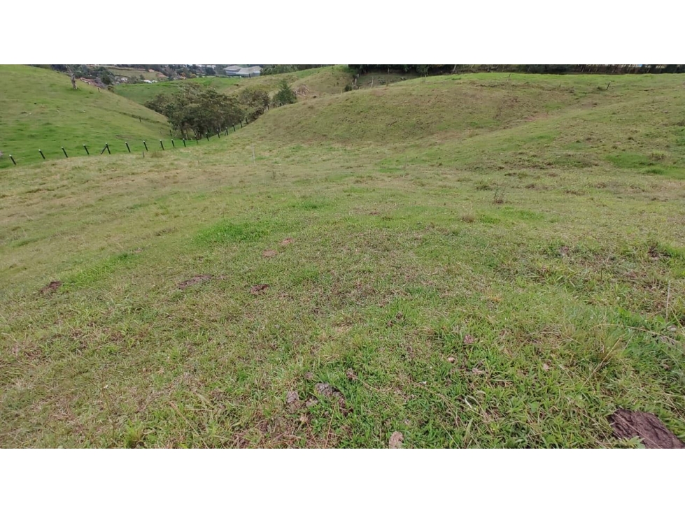 Venta Lote Zona Alta Valorización Buen Area y Vistas Capiro — foto 3