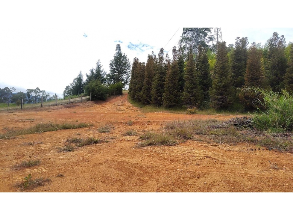 Venta Lote Zona Alta Valorización Buen Area y Vistas Capiro — foto 4