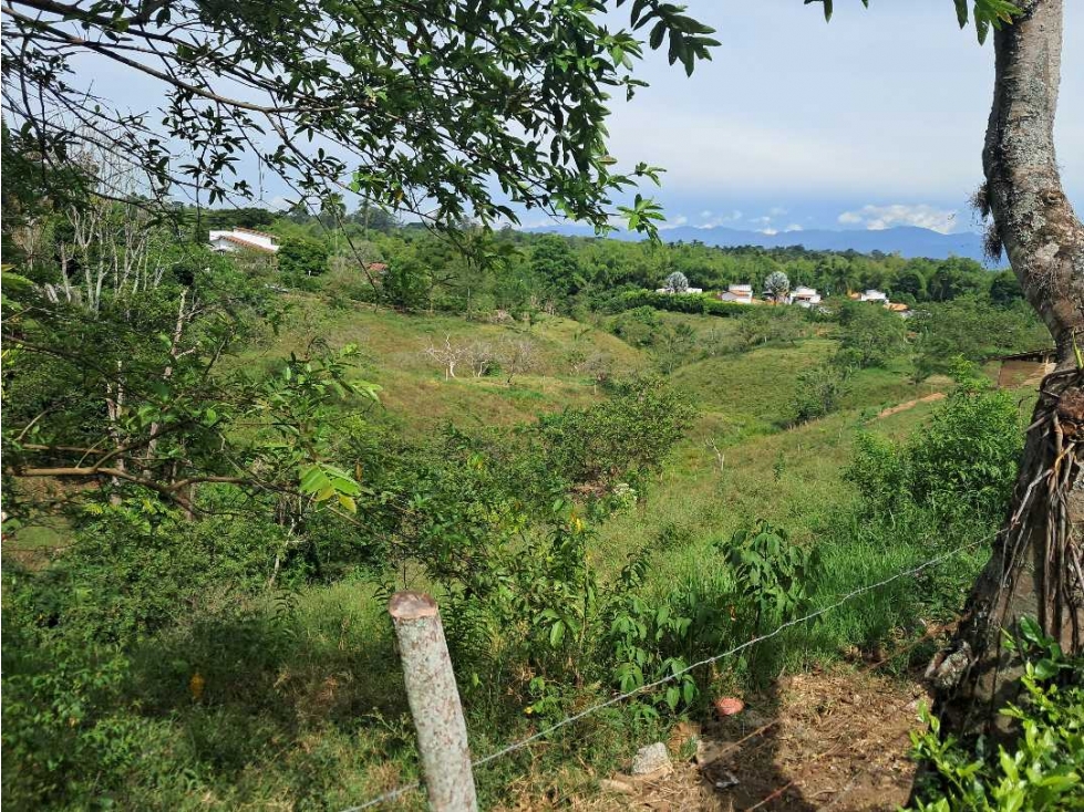 Venta Lotes Cerritos Pereira Risaralda — foto 2