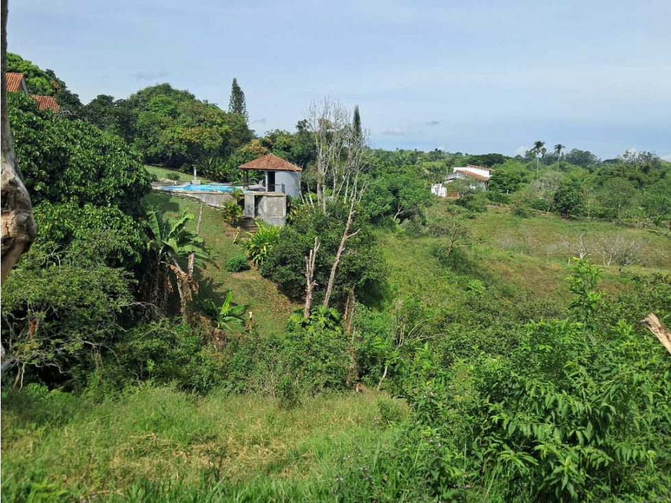 Venta Lotes Cerritos Pereira Risaralda — foto 3