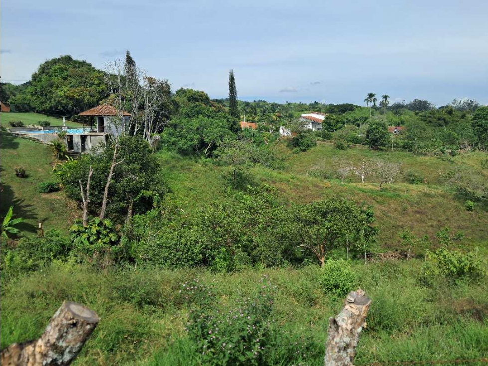 Venta Lotes Cerritos Pereira Risaralda — foto 4