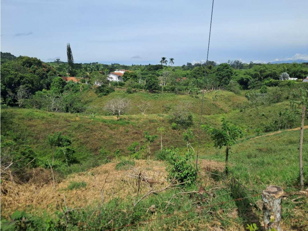 Venta Lotes Cerritos Pereira Risaralda — foto 5