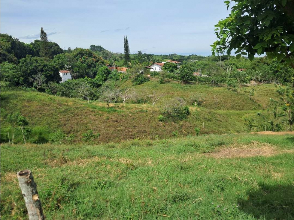 Venta Lotes Cerritos Pereira Risaralda — foto 6