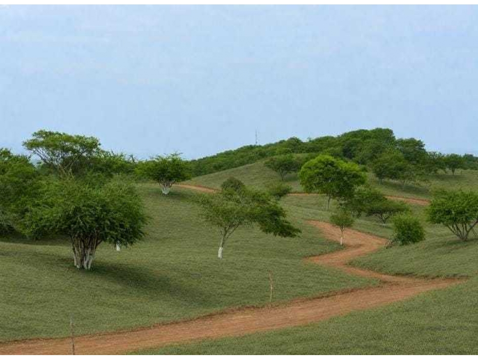 Venta lotes conjunto cerrado en la Via al Mar Proyecto NACIENTTE - 5