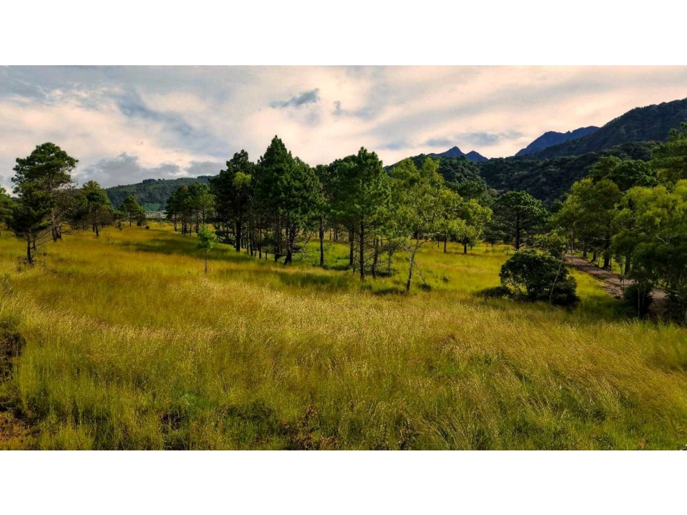 VENTA LOTES EN VOLCAN 2800MT2 OPORTUNIDAD DE INVERSION LT