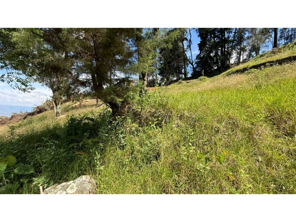 Venta Lote Los balsos Medellín — foto 5