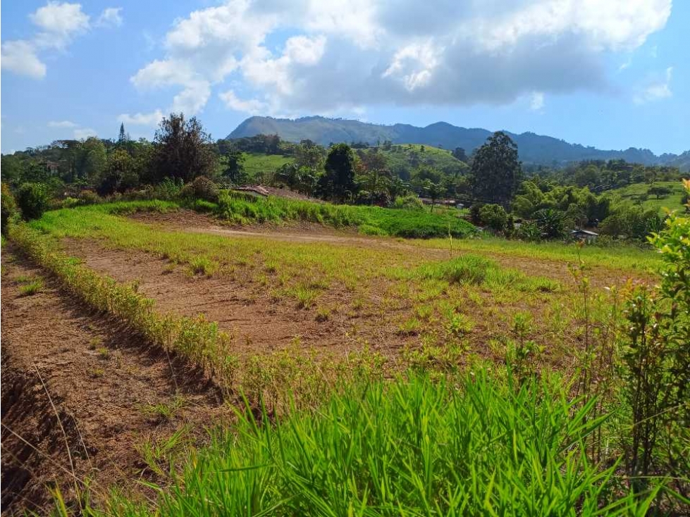 VENTA LOTES TITIRIBI, SUROESTE ANTIOQUEÑO - 4