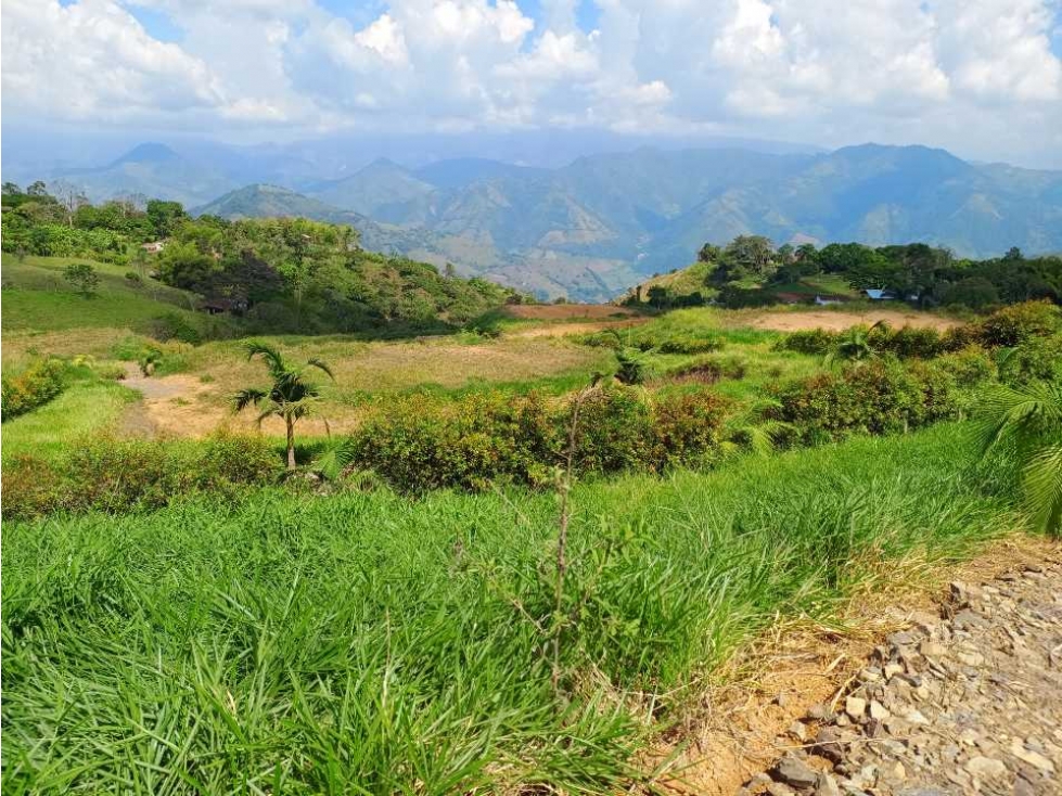 VENTA LOTES TITIRIBI, SUROESTE ANTIOQUEÑO - 5