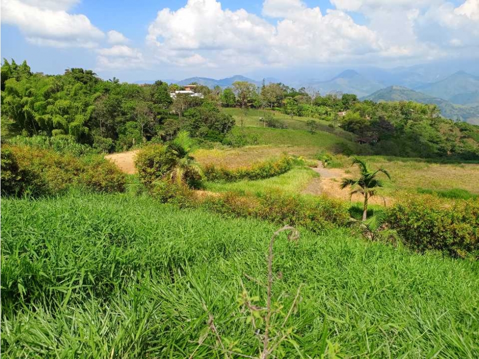 VENTA LOTES TITIRIBI, SUROESTE ANTIOQUEÑO - 6